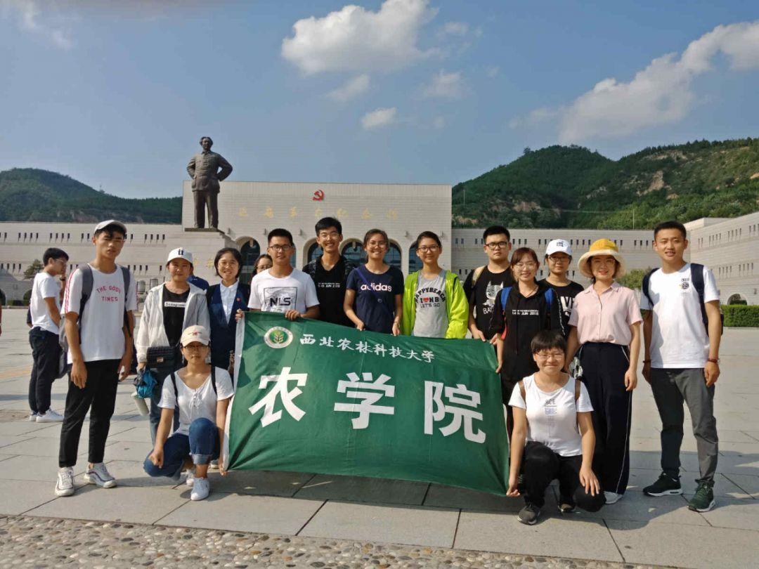 荒野大镖客2